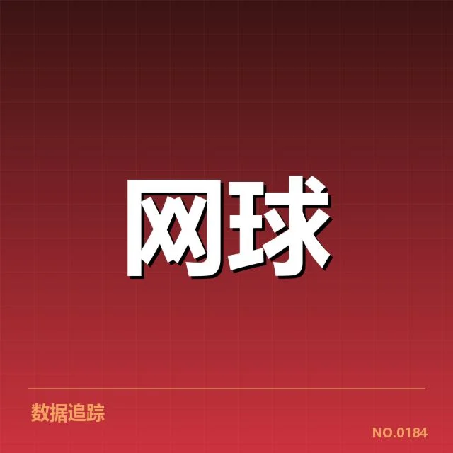 俄罗斯顶级选手及关键赛事表现